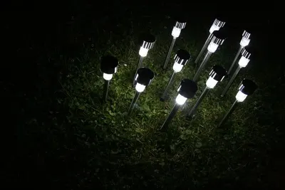 Landscape light garden light backyard light