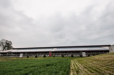 Dock houses and farms
