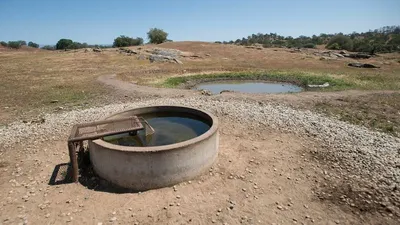 Basin by Aksu Armature