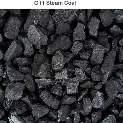 Steam Coal
