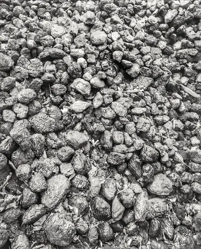 Steam Coal / Thermal Coal GAR 5680