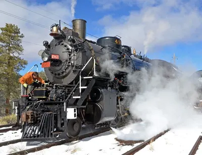 Loco (Chilean Abalon)