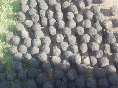 Grass Paver Grid