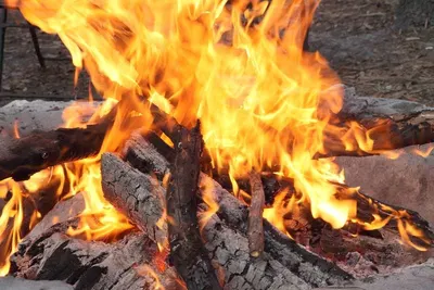 Wood Charcoal