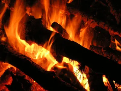 Wood Charcoal