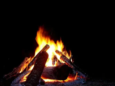 Resturant Grade Non Sparling Wood Charcoal