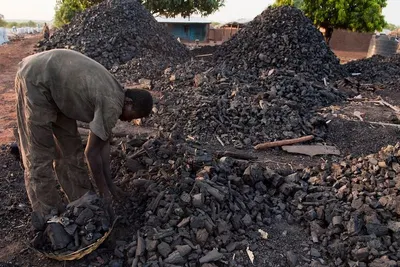 Hardwood Charcoal