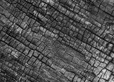 Hardwood Charcoal