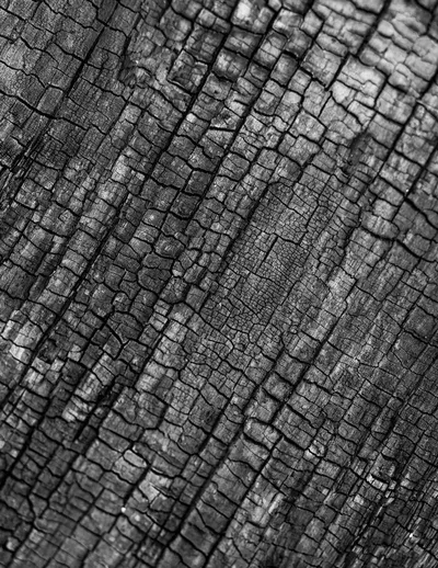 Charcoal by Arasan Exports
