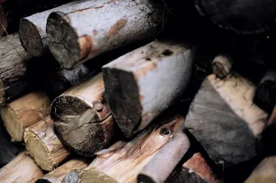 Ash Logs