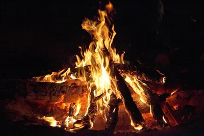 WOOD CHARCOAL MIX COCONUT SHELL FOR BBQ