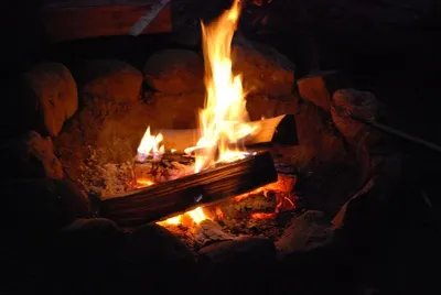 Wood Charcoal