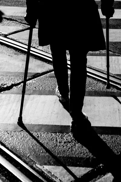 Morning Walker