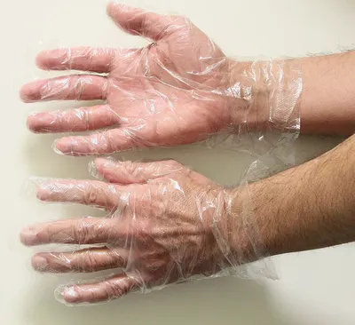 Disposable Vinyl Gloves