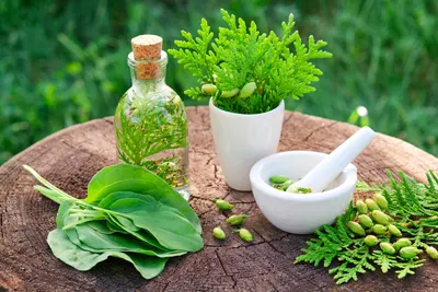 Moringa Juice For Diabetic by Stoneland Consultant