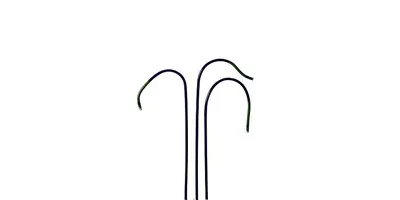 Tomato Spiral Stake