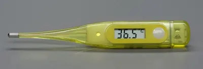Temperature Measuring Devices