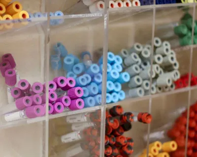 Vial Rack