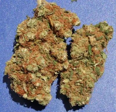 Nugs de la rosa