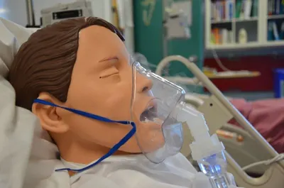 Model for teaching art medical