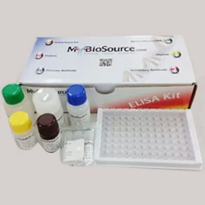 Compressor Nebulizer by Ningbo Seasight Medical Instruments Co., Ltd.