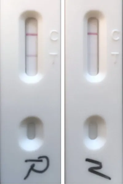 Syphilis TP Antibody Cassette