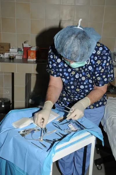 Sterile Latex Surgical Gloves Powder Free