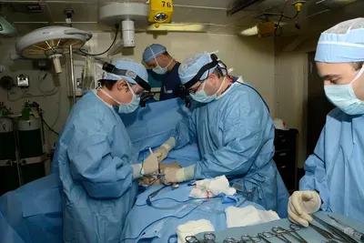 Surgical Gloves