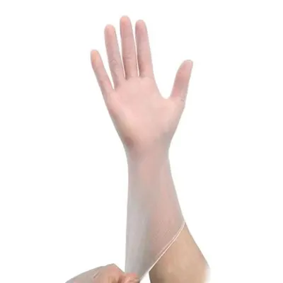 Stretch Vinyl Examination Glove