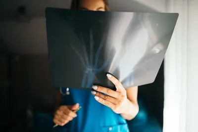 Hologram Projection Display Gauze by Magicviu Audio Visual LLC
