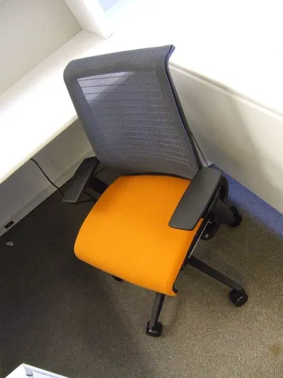 SitRight Pro Orthopedic Backrest Lumbar Support Cushion (SF-11)