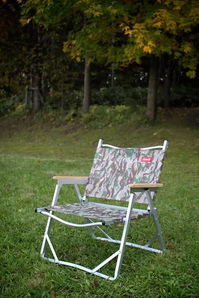 Folding Fishing Chair