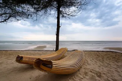 Teak Lounger
