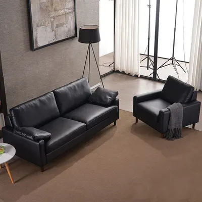 Modern Alisa Sleeper Sofa
