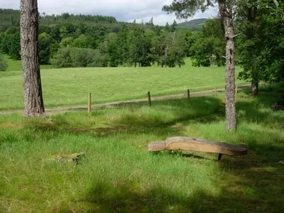 Eagle  Wood*