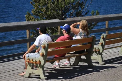 Park Bench Victoria