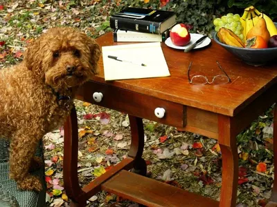 Table watchdog