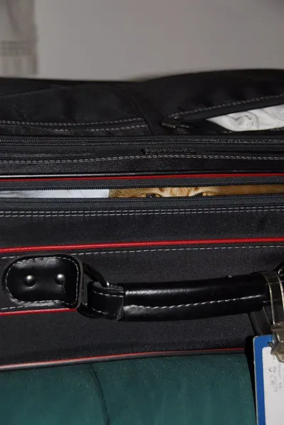 Genuine Leather Black Duffel Cum Travel Bag by Deeya International