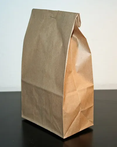 Paper bag by Chaya Exports