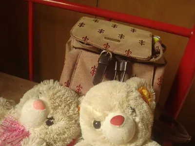 Supreme Teddy Bear