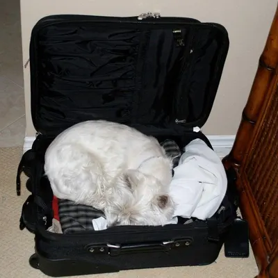 Sleeping bag