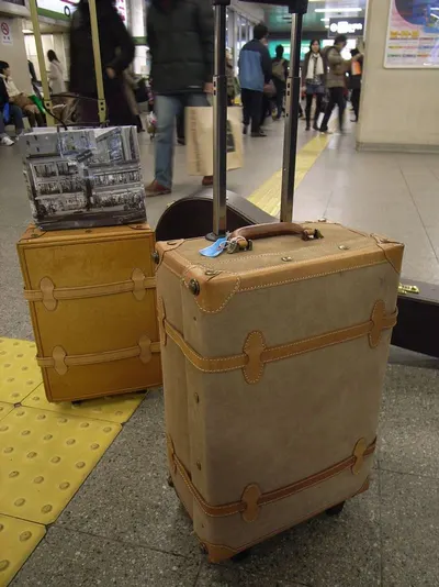 Suitcase (Anti-Robbery, Theft, Loss)