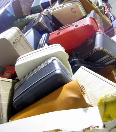 Rose Madder Suitcase