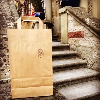 Twisted handle Paper Bags