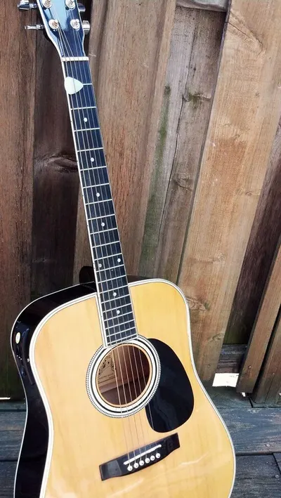 Fender aron sries