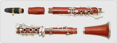 Bandinotta