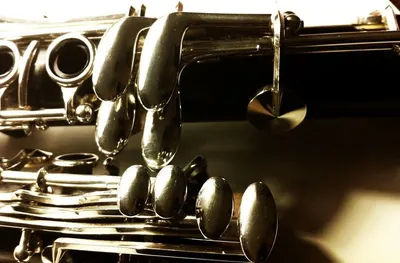 Horn Toggles by Antique creations