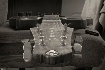 Resonator
