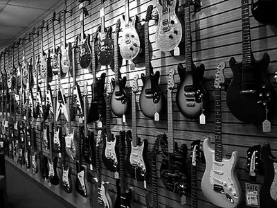 Fender