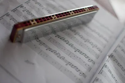 Printed cussion cover